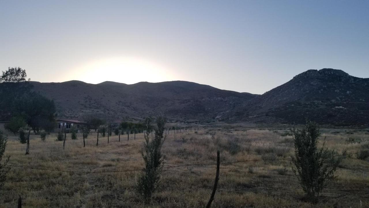 Cabanas Los Laureles Ruta Del Vino Ensenada Bagian luar foto